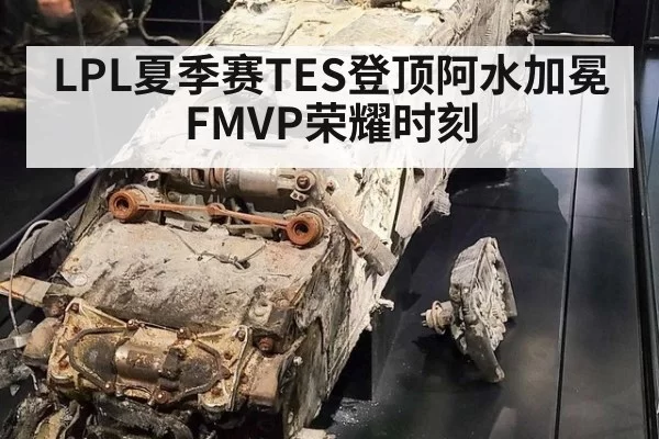 LPL夏季赛TES登顶阿水加冕FMVP荣耀时刻